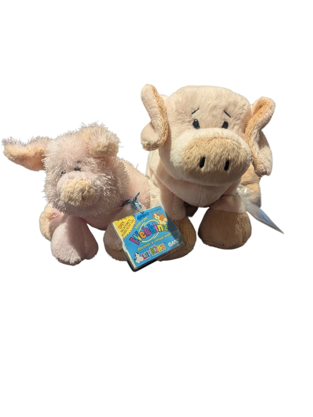 Webkinz Floppy Pig HM184 and a Lil’ Kinz Pig HS002